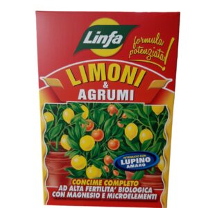 limoni e agrumi